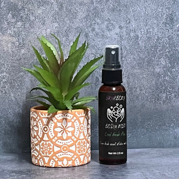 Cool Fresh Aloe Body Mist