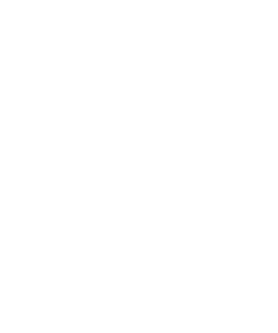 Sky Ebony